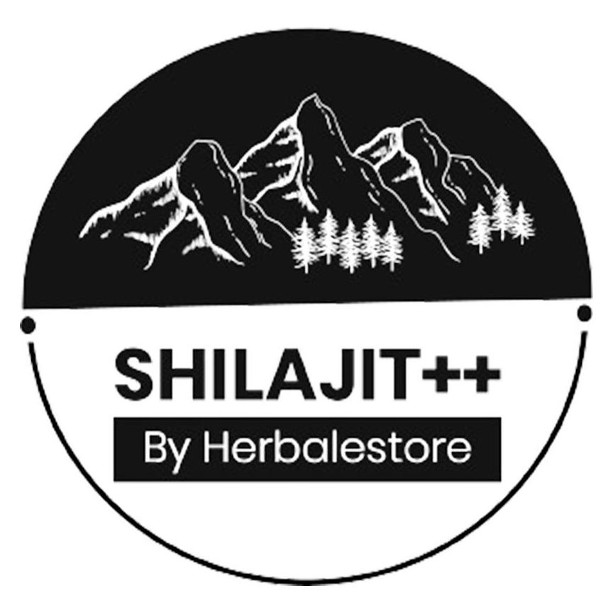 HimalayasShilajit